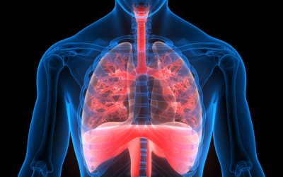 Die Lunge in der Osteopathie